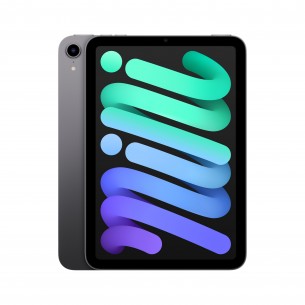 iPad Mini 6 (2021) "regime...
