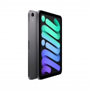iPad Mini 6 (2021) "regime... 2